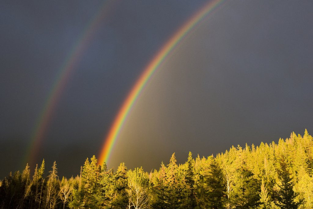 Detail of A Double Rainbow During a Storm in Banff National Parknear Banff Alberta, Canada. by Anonymous