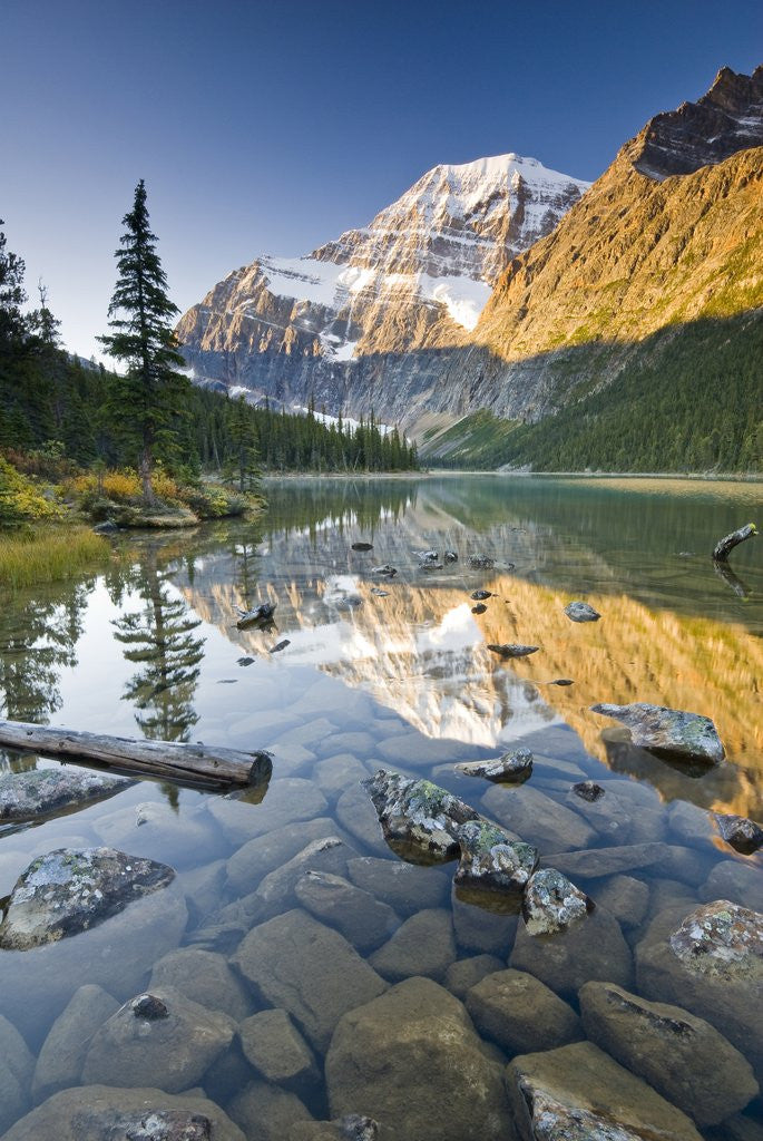 Detail of Mount Edith Cavell Reflected in Cavell Lake in Jasper National Park, Alberta, Canada. by Anonymous