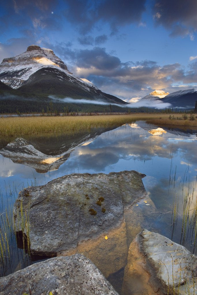 Detail of Rampart Ponds with Mount Athabasca and Mount Amery, Banff National Park, Alberta, Canada by Corbis