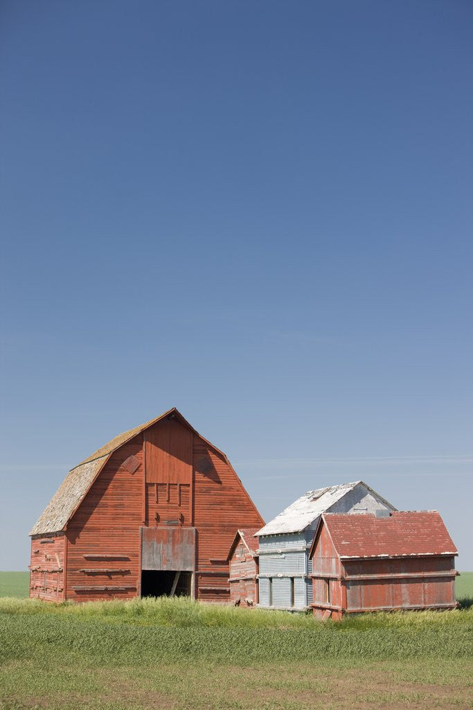 Detail of Red Barns in the Middle of a Large Flat Field in the Prairie Land of Southern Saskatchewan, Canada by Anonymous
