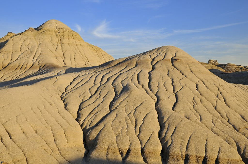 Detail of Hoodoos, Badlands, Dinosaur Provincial Park, Alberta, Canada by Anonymous