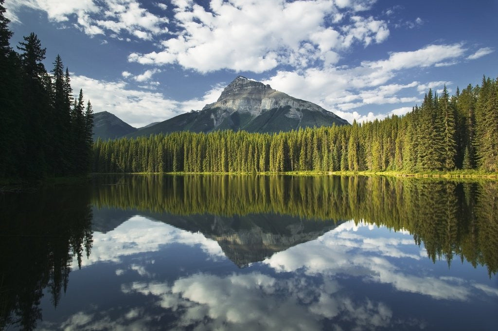 Detail of Pilot Point with Pilot Mountain, Banff National Park, Alberta, Canada by Anonymous
