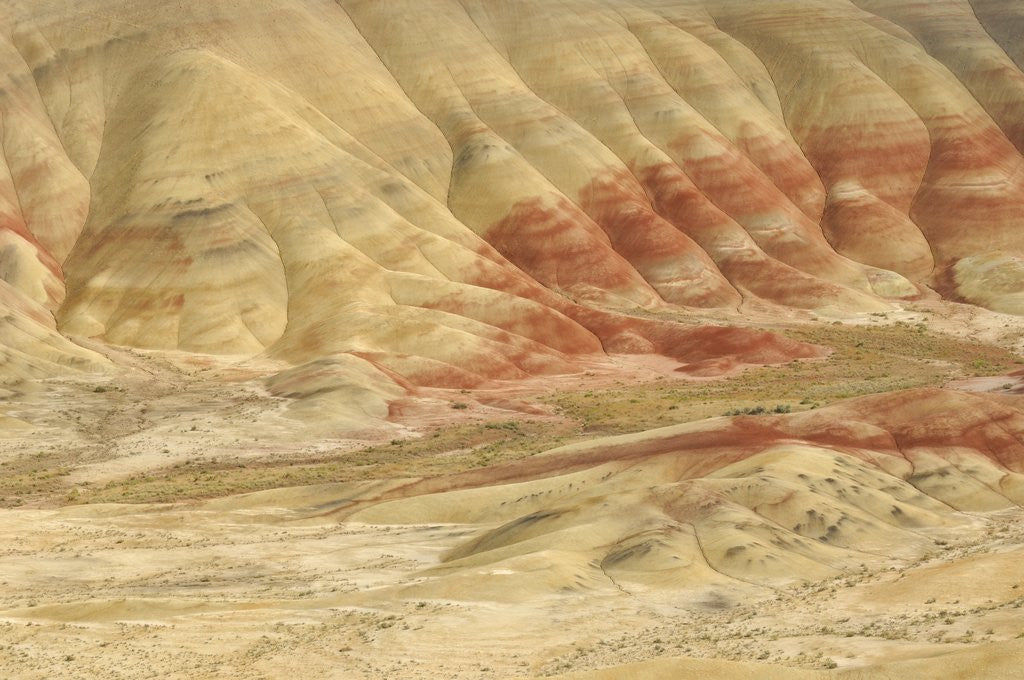 Detail of The Painted Hills at the John Day Fossil Beds National Monument, Oregon, USA by Anonymous