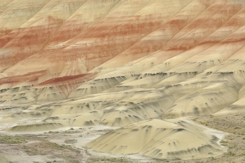 Detail of The Painted Hills at the John Day Fossil Beds National Monument, Oregon, USA by Anonymous