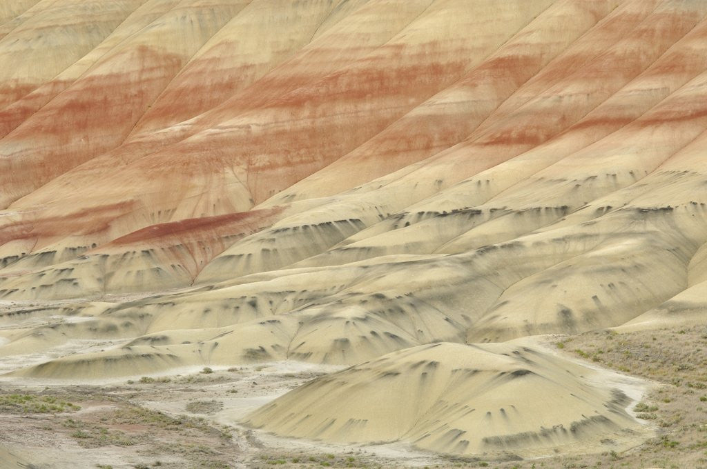Detail of The Painted Hills at the John Day Fossil Beds National Monument, Oregon, USA by Corbis