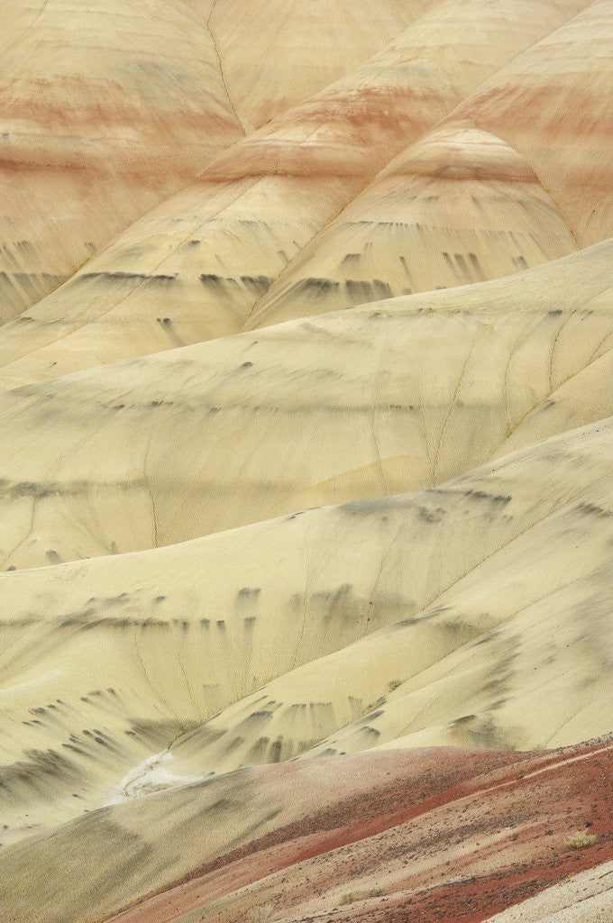 Detail of The Painted Hills at the John Day Fossil Beds National Monument, Oregon, USA by Anonymous