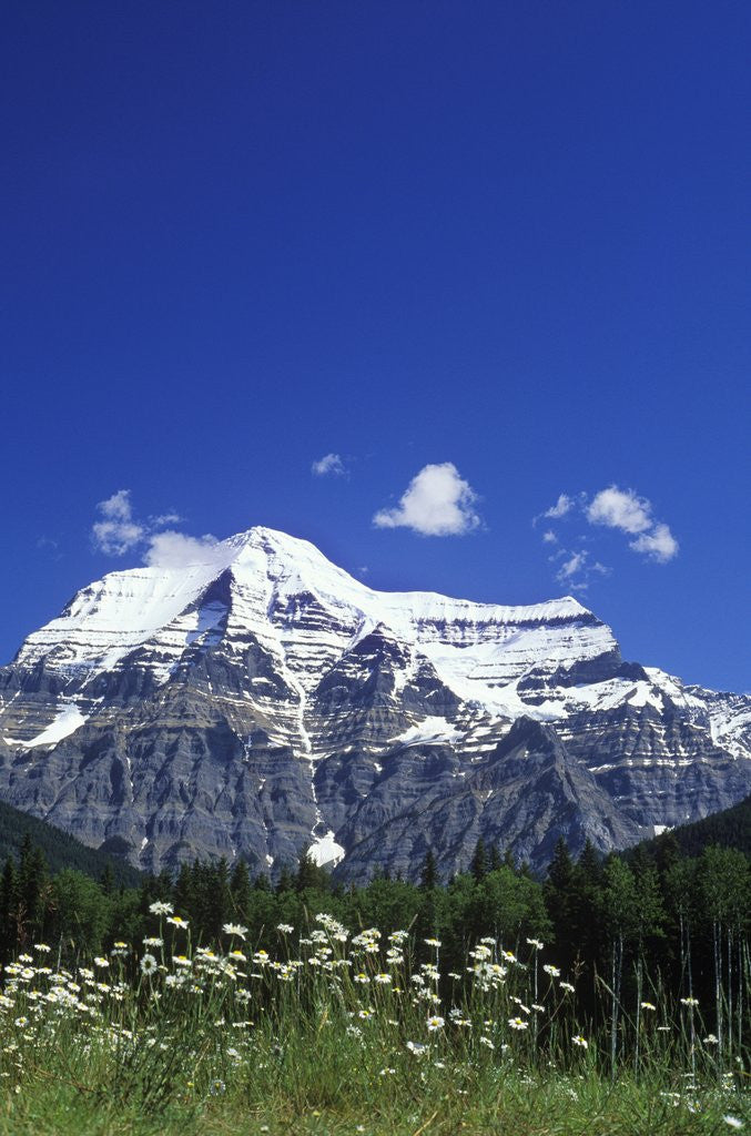 Detail of Mount Robson, 3954 M, Highest Peak in Canadian Rockies, British Columbia, Canada. by Anonymous
