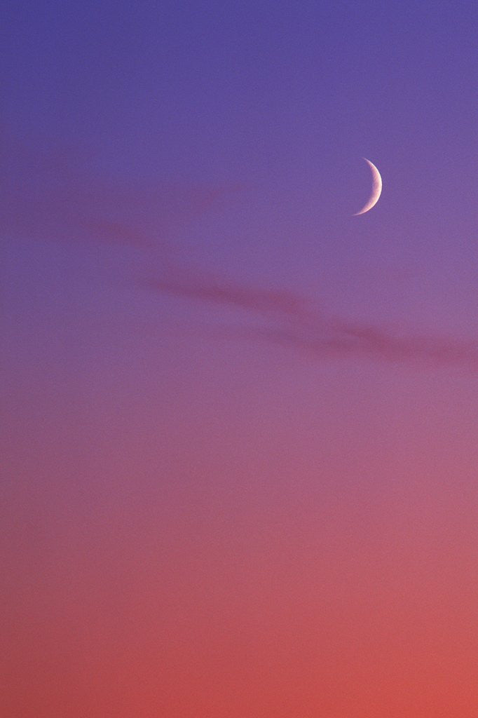 Detail of Evening Sky in Magenta with Crescent Moon - Background, Canada. by Anonymous