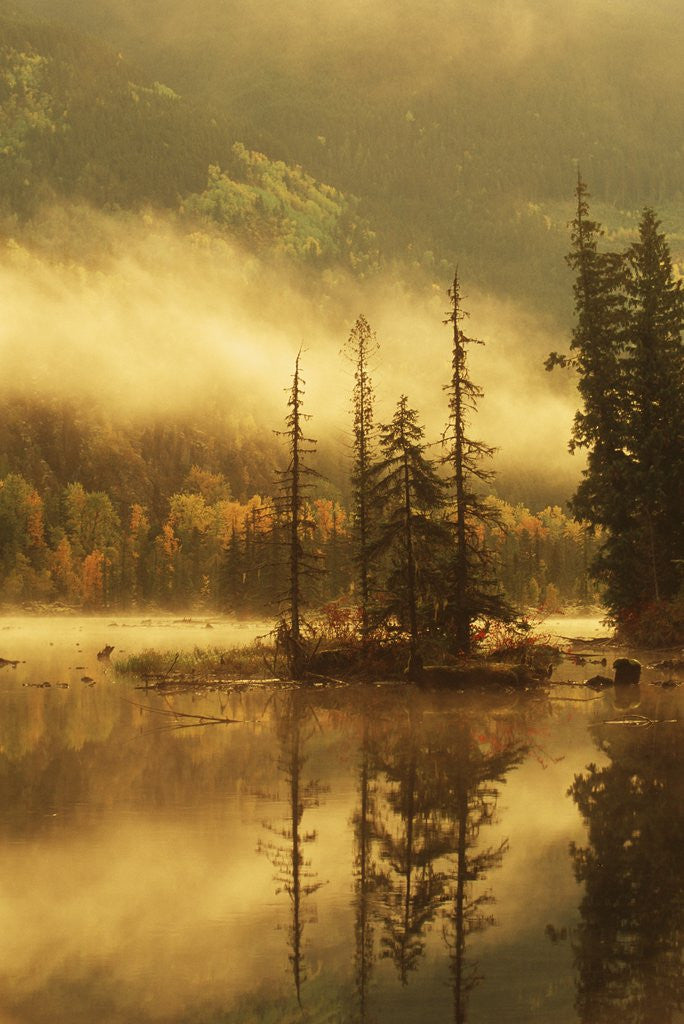 Detail of Nisga'a Lava Bed Memorial Provincial Park, Lava Lake in Autumn Mist, Nass River Valley, British Columbia, Canada. by Anonymous