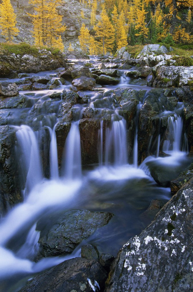 Detail of Lake O'Hara, Opabin Plateau, Cascade Lakes, Yoho National Park, British Columbia, Canada. by Anonymous