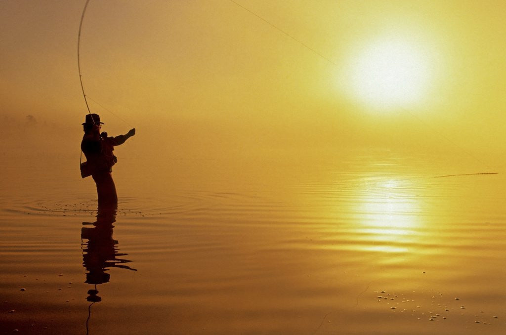 Fly-fishing at Dawn on 108 Mile Lake, British Columbia, Canada. by Corbis