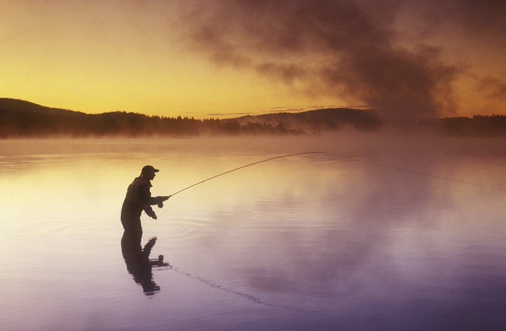 Detail of Fly-fishing at Dawn on 108 Mile Lake, British Columbia, Canada. by Corbis