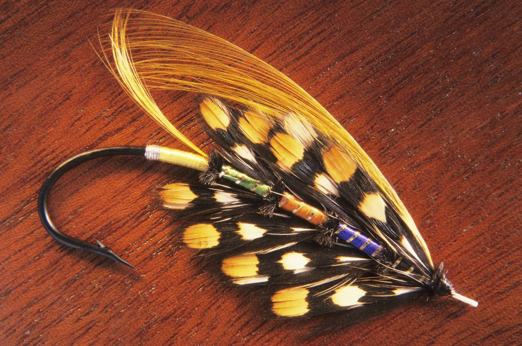 Detail of Hand Tied Atlantic Salmon Fishing Fly, British Columbia, Canada. by Anonymous