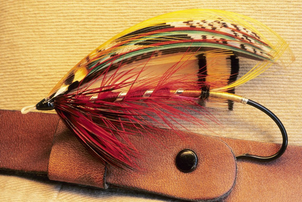 Detail of Atlantic Salmon Fly on Hat Brim, British Columbia, Canada. by Anonymous