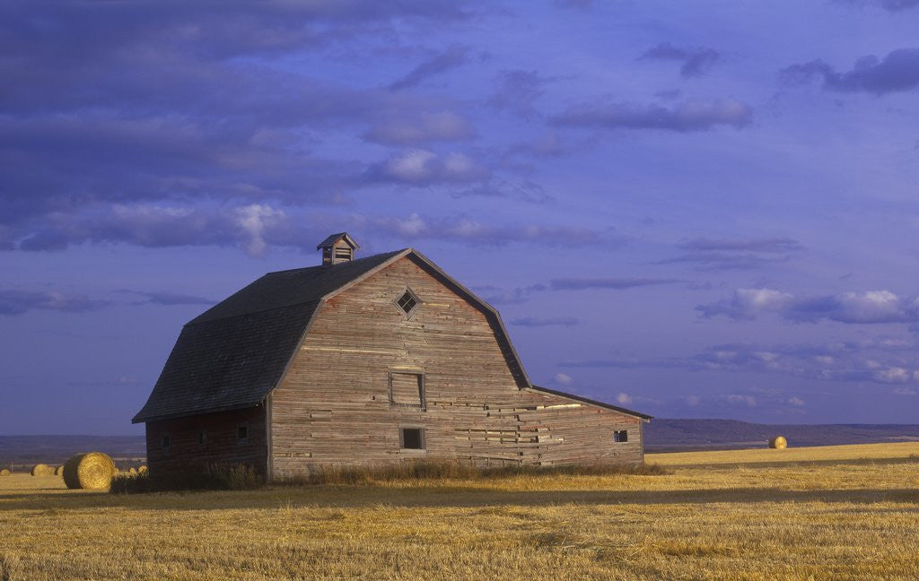 Detail of Old Barn in the Peace River Country, Near Dawson Creek, British Columbia, Canada. by Corbis