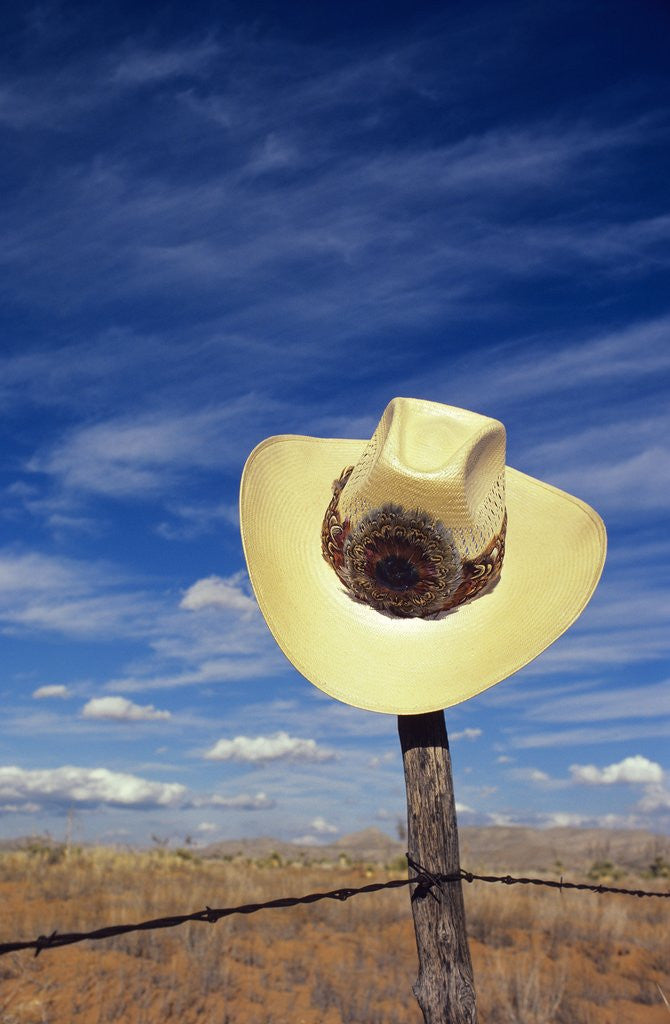 Detail of Cowboy Hat on Barbed Wire Fence, British Columbia, Canada. by Anonymous