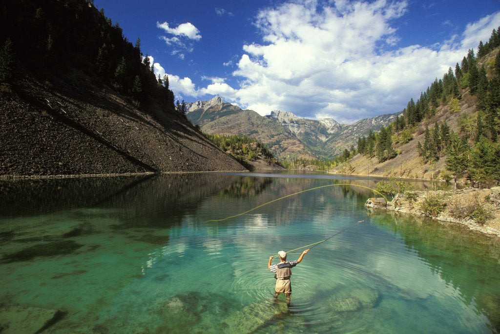 Detail of Young Man Fly-fishing on Lower Silver Springs Lake in the Elk Valley Near Fernie, British Columbia, Canada. by Anonymous