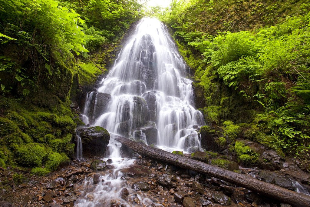 Detail of Fairy Falls, Columbia River Gorge National Scenic Area, Oregon by Corbis