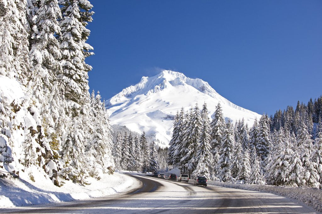 Detail of Snow covered road, Mount Hood, Oregon Cascades by Anonymous