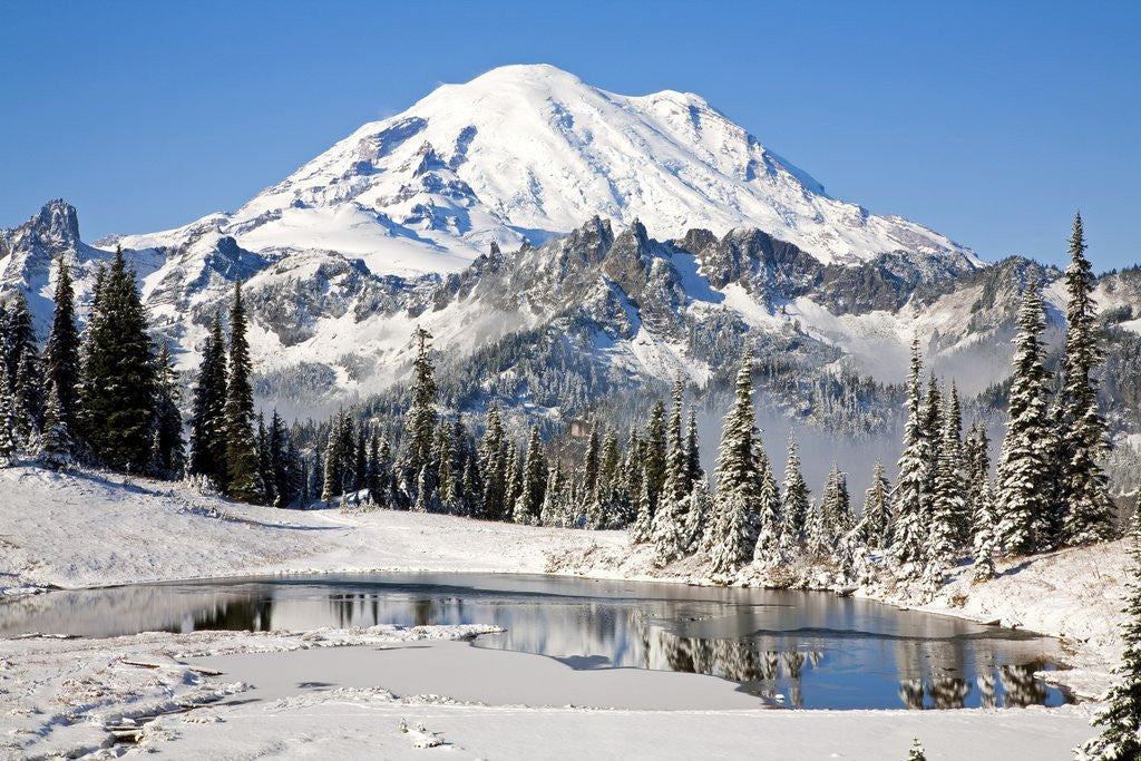 Detail of First winter snow at Mount Rainier and Tipsoo Lake, Mount Rainier National Park, Washington State by Anonymous