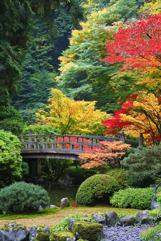 Detail of Bridge in Japanese Garden by Corbis