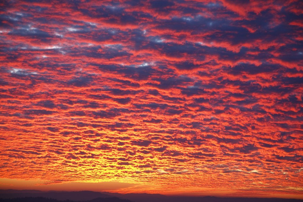 Detail of Sunset over Willamette Valley, Oregon by Anonymous