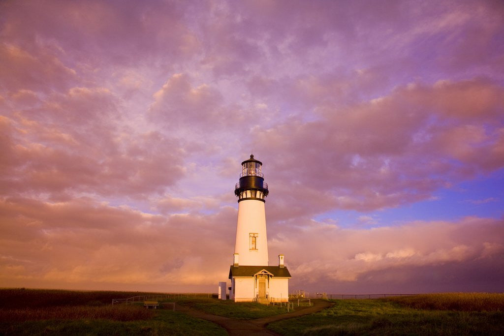 Detail of Yaquina Head lighthouse at sunrise by Anonymous