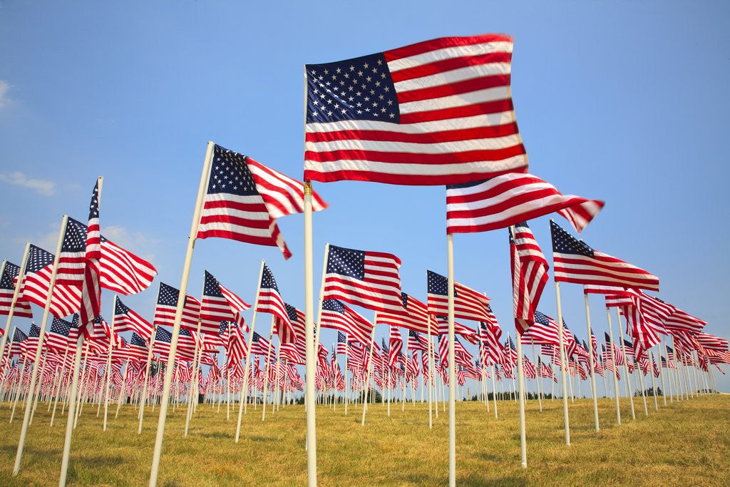 Detail of American Flags, Oregon by Anonymous