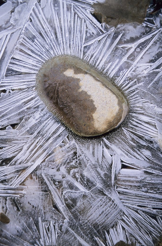 Detail of Ice Formations, Canyon Creek, Smithers, British Columbia, Canada. by Anonymous
