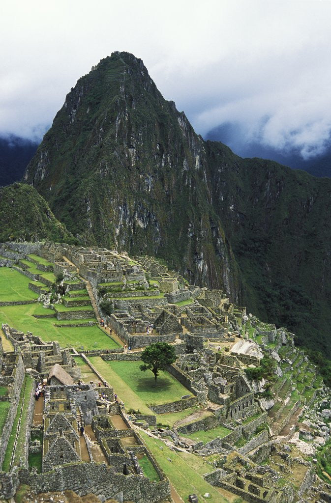 Detail of Machu Picchu Unesco World Heritage Site, Urubamba Valley, Peru by Anonymous