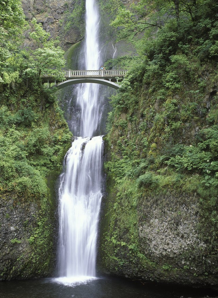 Detail of USA, Oregon, Columbia River Gorge Area, Scenic Waterfalls, Multonomah Falls by Corbis