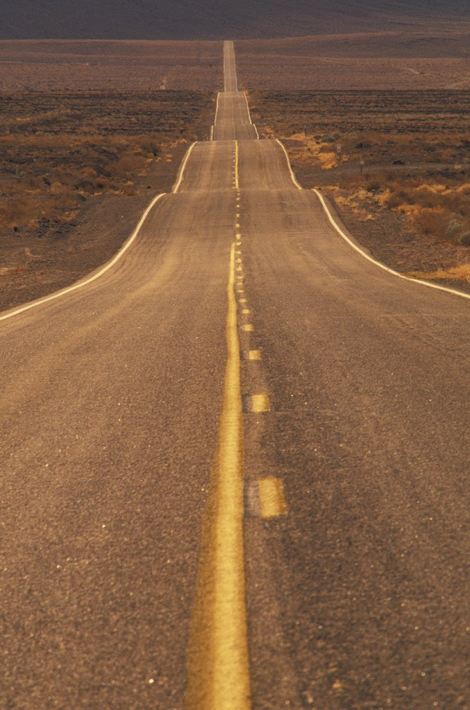 Detail of USA, California, Death Valley- Long Shot of Desert Highway by Anonymous