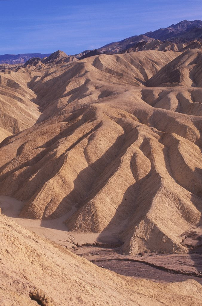 Detail of USA, California, Death Valley National Monument, Zabriske Point, Erosion Patterns in Sandstone by Anonymous