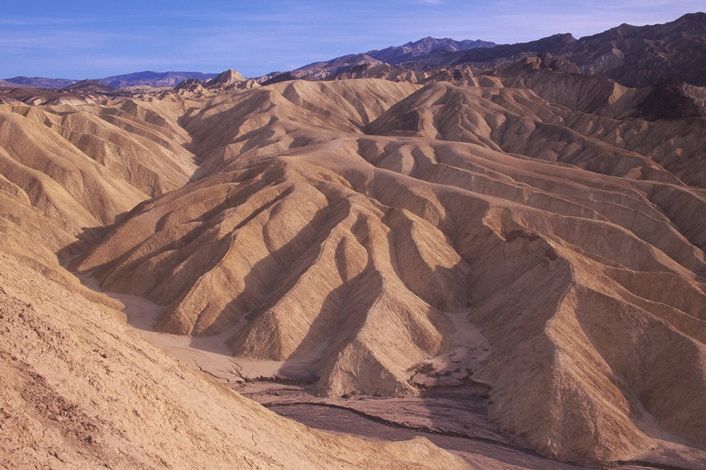 Detail of USA, California, Death Valley National Monument, Zabriske Point, Erosion Patterns in Sandstone by Anonymous