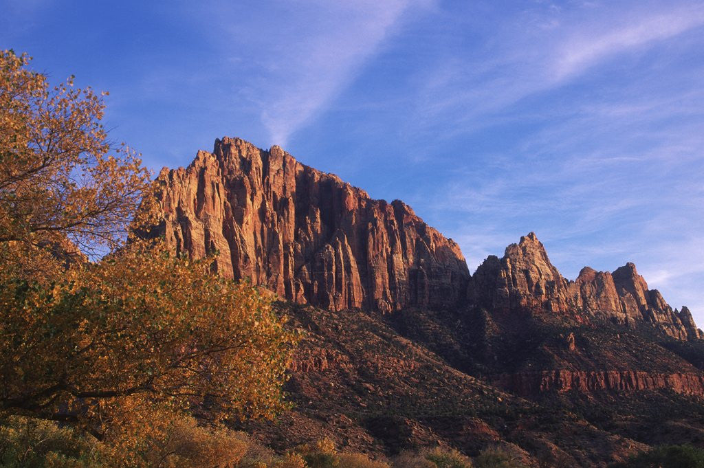 Detail of USA, Utah, Zion National Park, Cliffs Along Virgin River by Anonymous