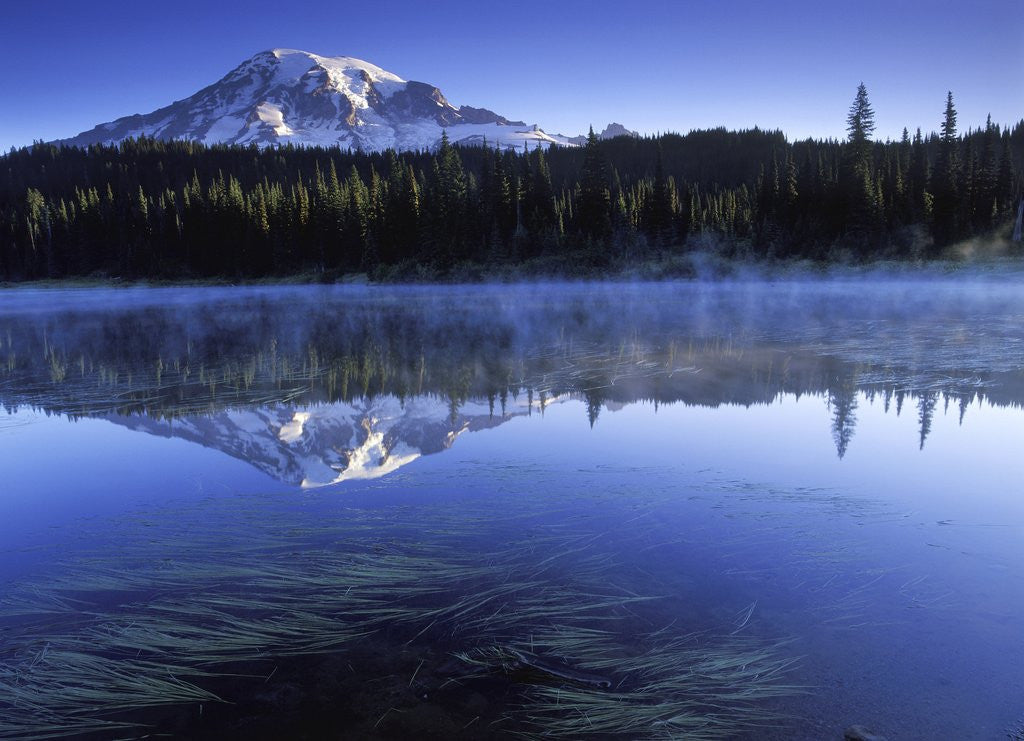 Detail of USA, Mount Rainier National Park, Morning View from Reflection Lake by Anonymous