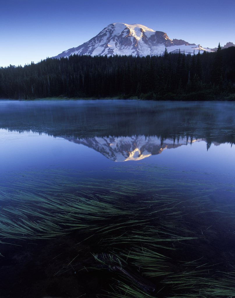 Detail of USA, Mount Rainier National Park, Morning View from Reflection Lake by Anonymous
