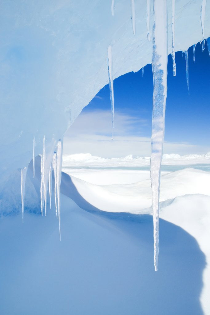Detail of Antarctic Icicles, Snow Hill Island, Weddell Sea, Antarctica by Anonymous
