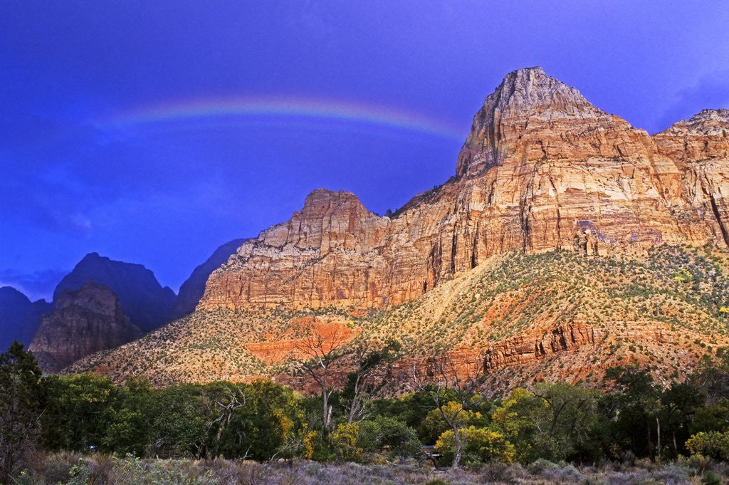 Detail of Rainbow, The Watchman, Zion National Park, Utah, USA by Anonymous