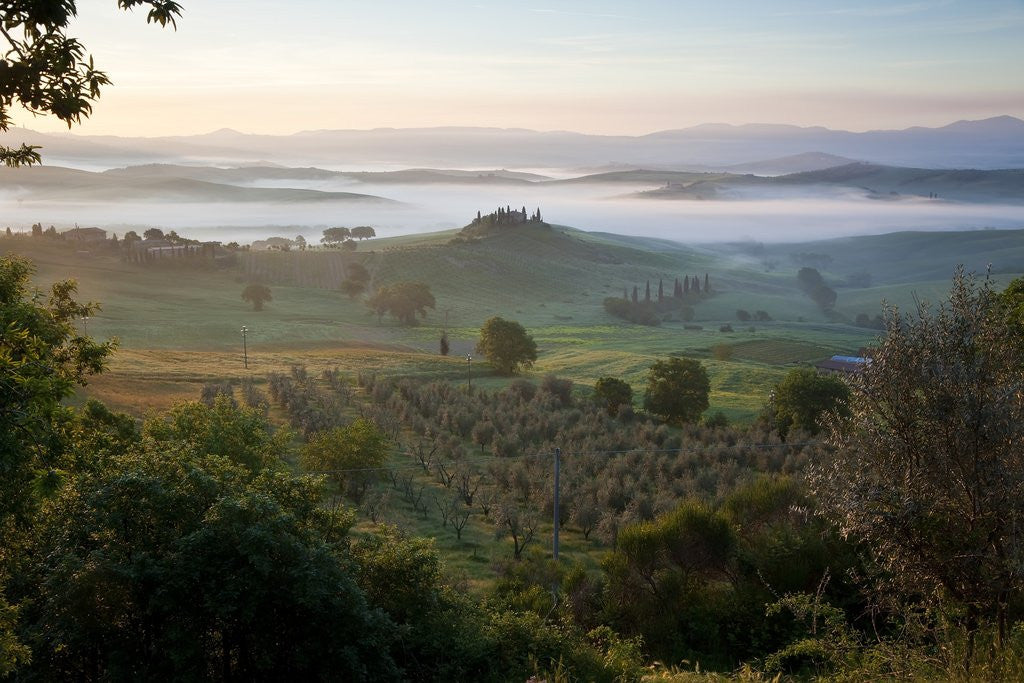 Detail of Ground fog at dawn in Val d'Orcia by Corbis