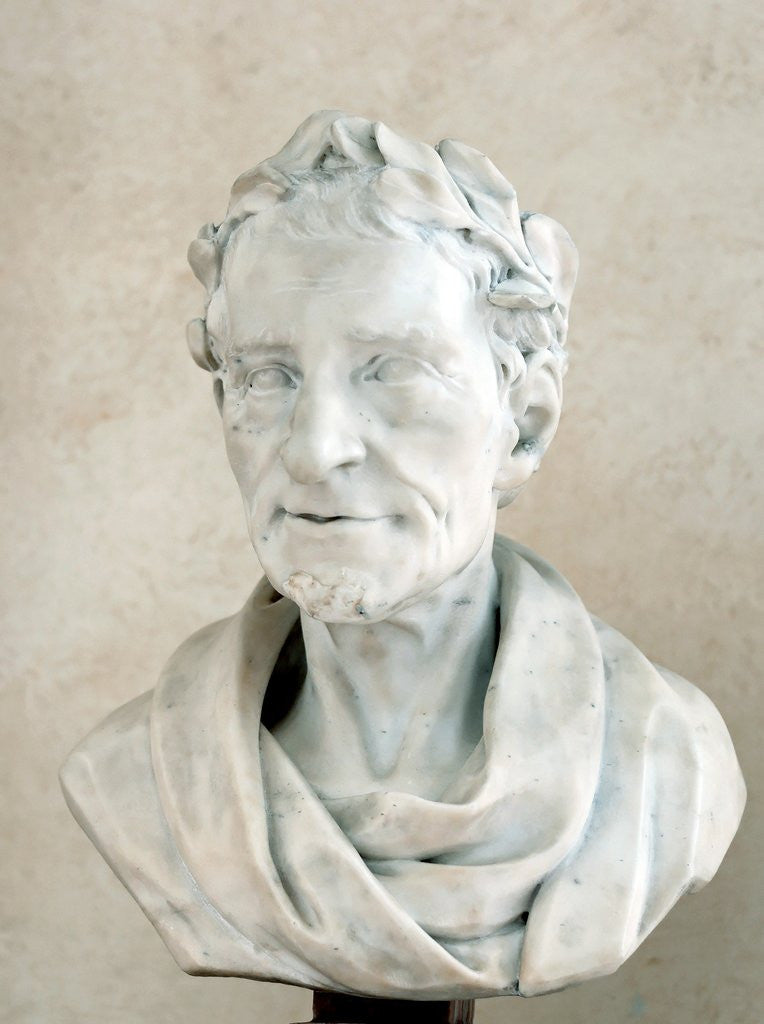 Detail of Portrait of Voltaire by Peter Anton von Verschaffelt