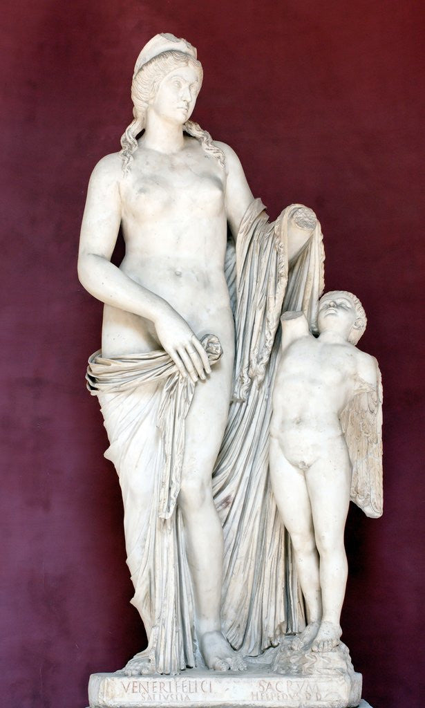 Detail of Venus Felix by Anonymous