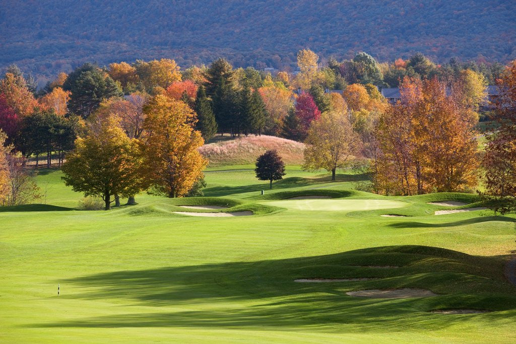 Detail of Golf course in Manchester, Vermont by Anonymous