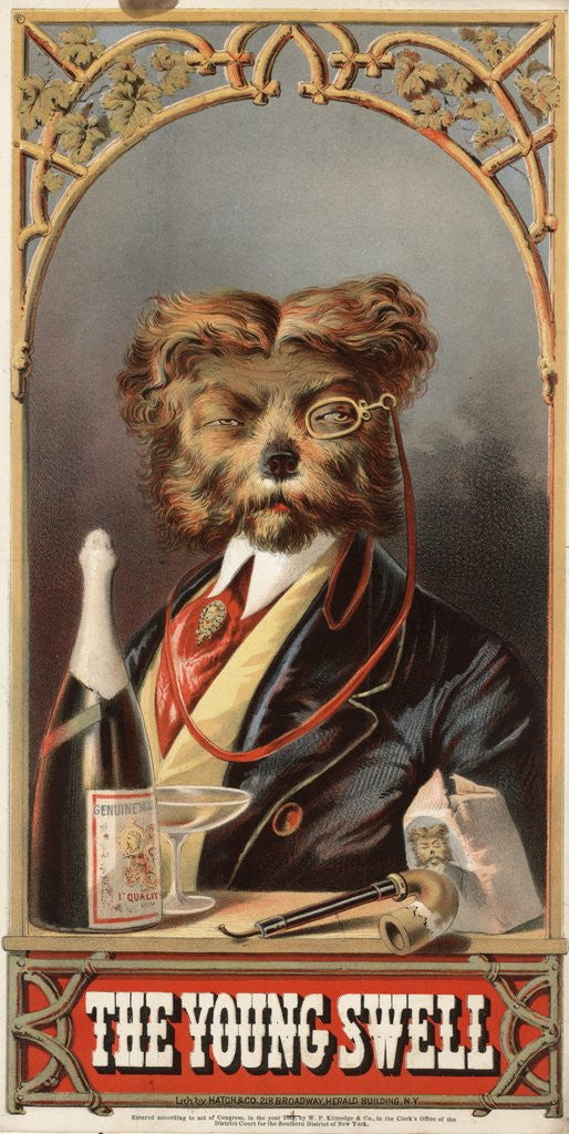 Detail of The Young Swell advertisement by Anonymous