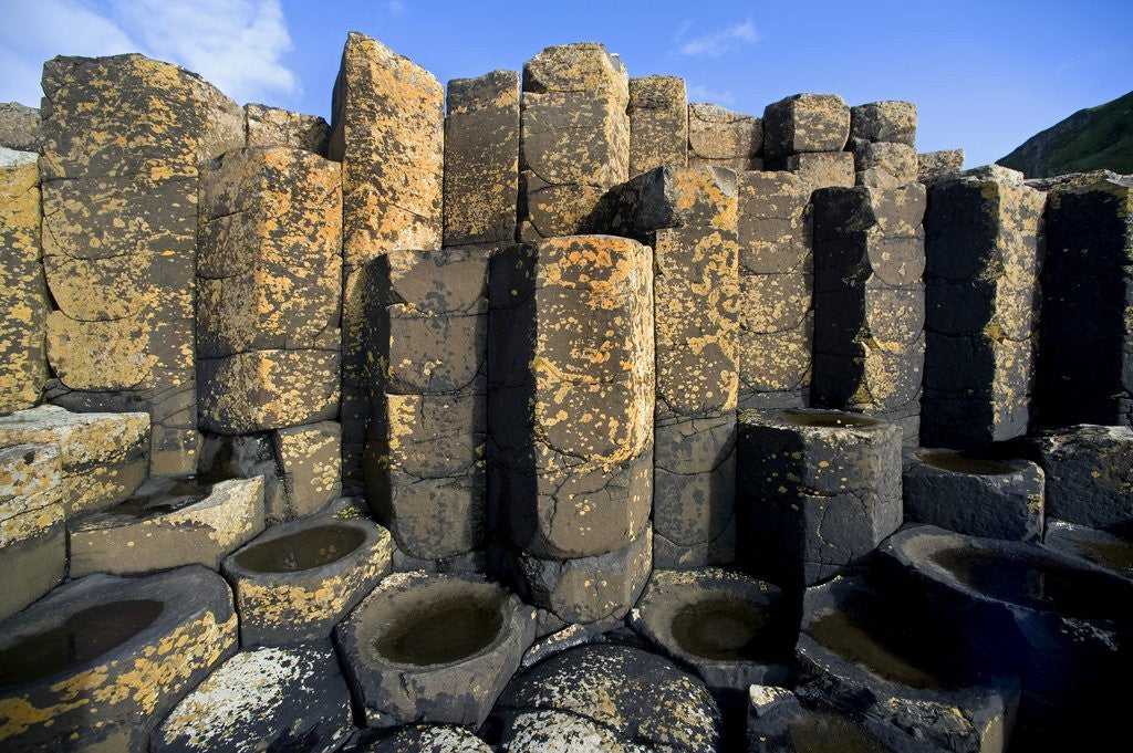 Detail of Columnar basalt at Giant's Causeway by Anonymous