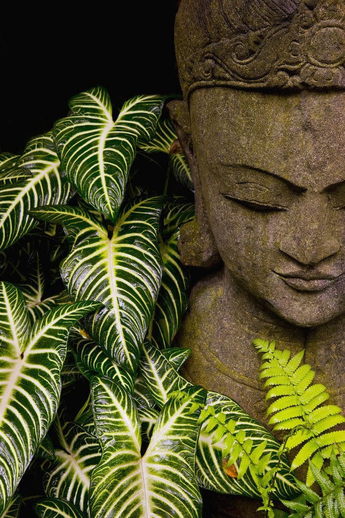 Detail of Statue in a Garden Location Information: Chiang Mai, Thailand by Anonymous