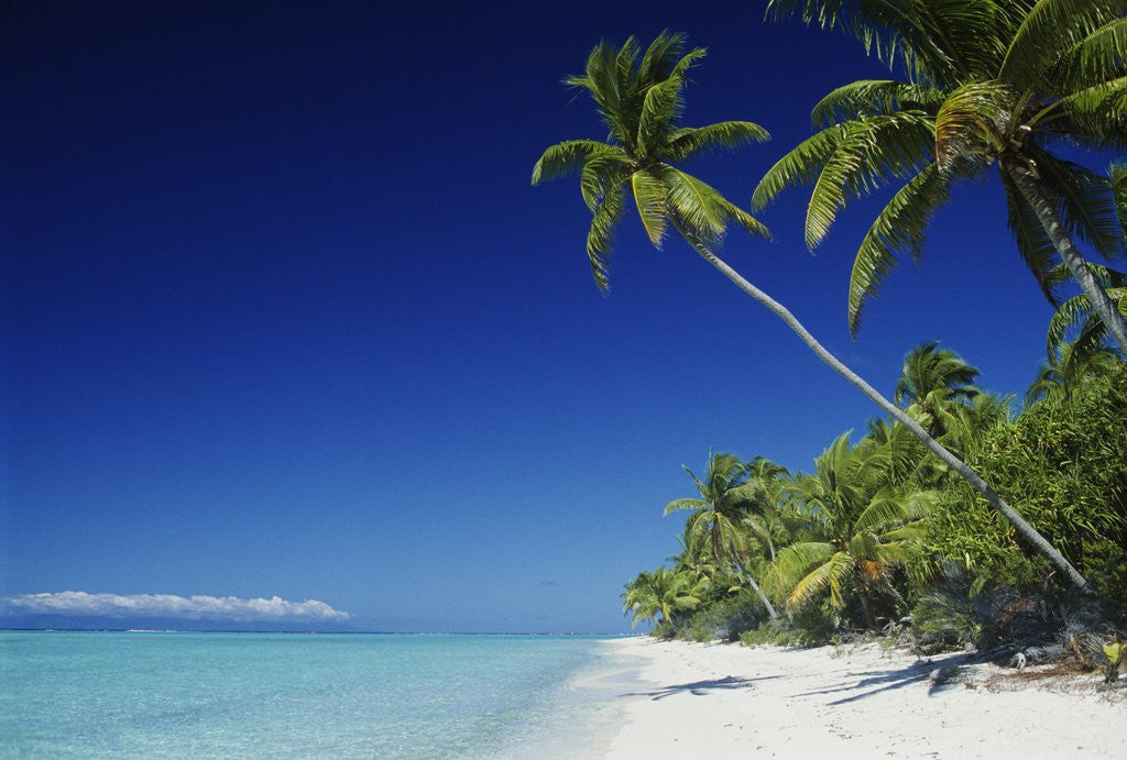 Detail of Tetiaroa, Tahiti by Anonymous