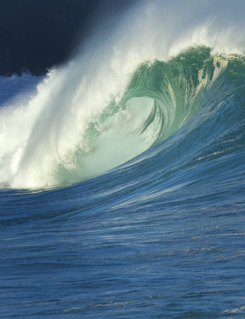 Detail of Wave, Waimea, North Shore, Hawaii by Anonymous