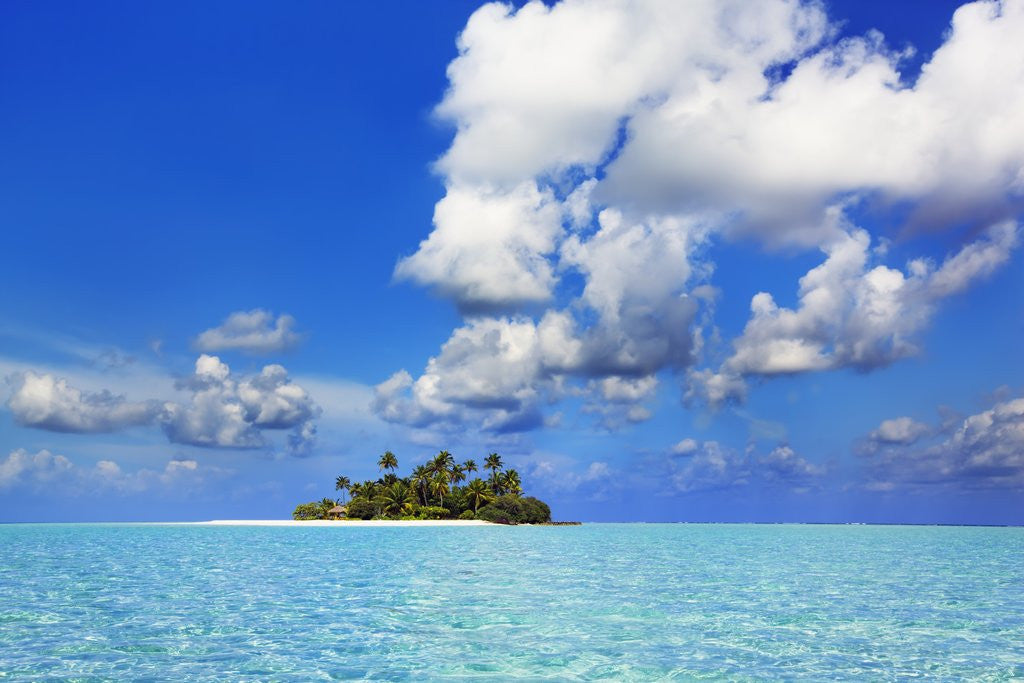 Detail of Idyllic atoll in the Maldives by Anonymous