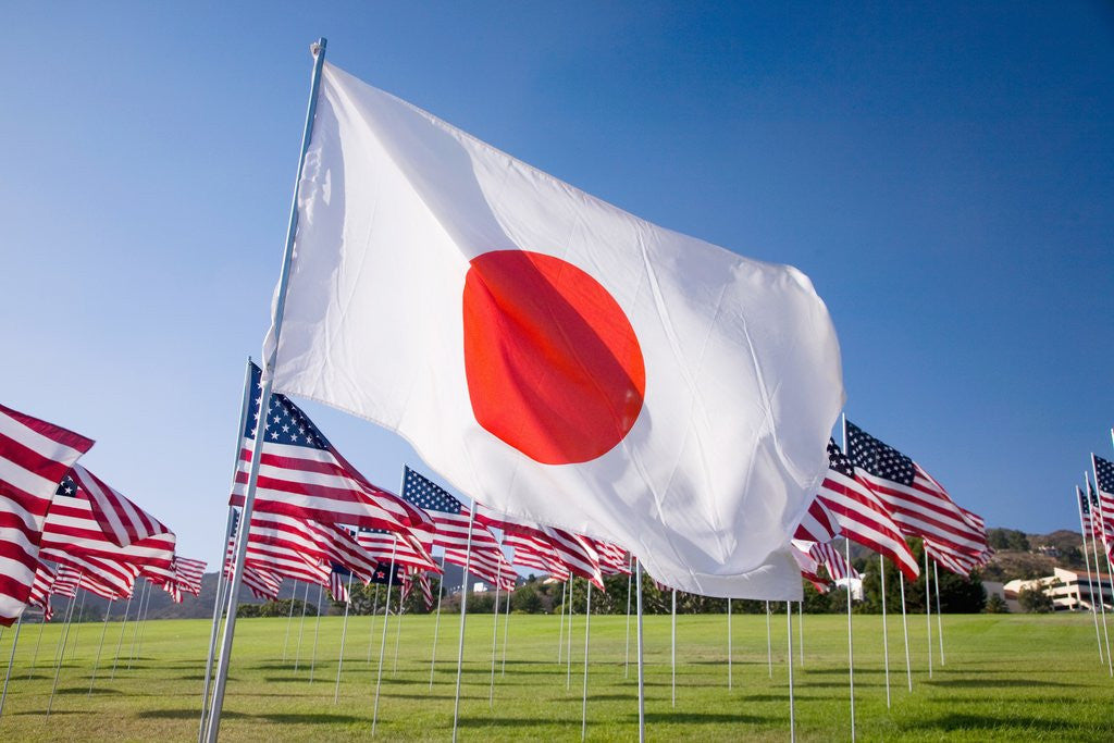 Detail of Japanese and Americans flags during 3000 Flags for 9-11 tribute by Corbis